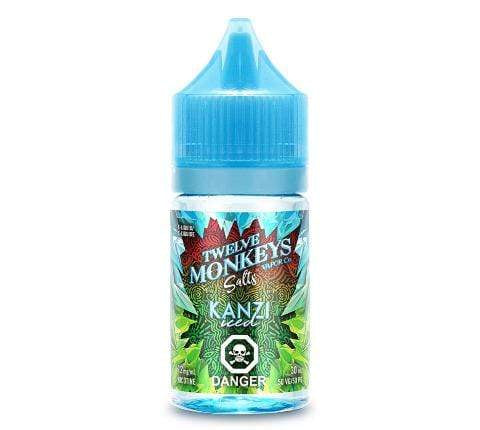 Twelve Monkeys Ice Age Salt e-Liquid - Excise - Kanzi